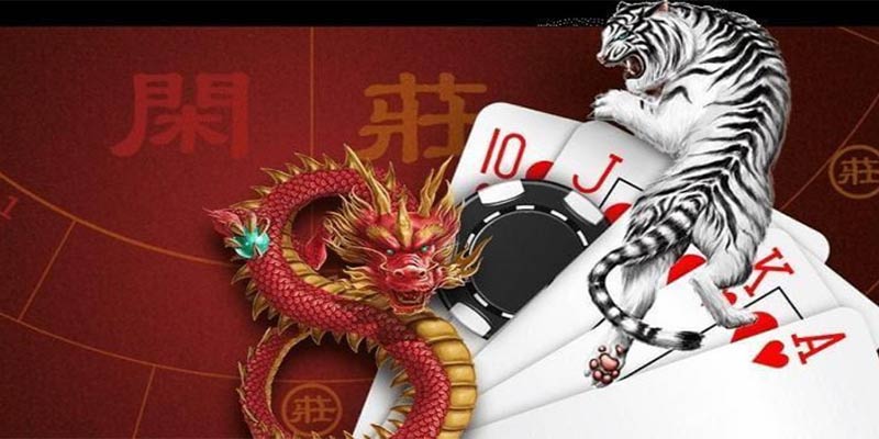 Thử sức với các hình thức đặt cược đa dạng tại rồng hổ TD88